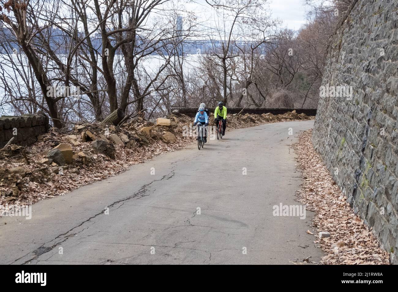 Ciclisti, abbigliamento invernale/freddo, bici in salita lungo la Henry Hudson Drive nel Palisades Interstate Park, New Jersey Foto Stock