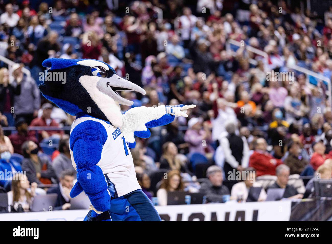 Greensboro, North Carolina, Stati Uniti. 27th Mar 2022. Creighton Bluejays danze mascotte durante il quarto trimestre di timeout nel torneo di pallacanestro femminile NCAA 2022 al Greensboro Coliseum di Greensboro, NC. (Scott Kinser/ACC). Credit: csm/Alamy Live News Foto Stock