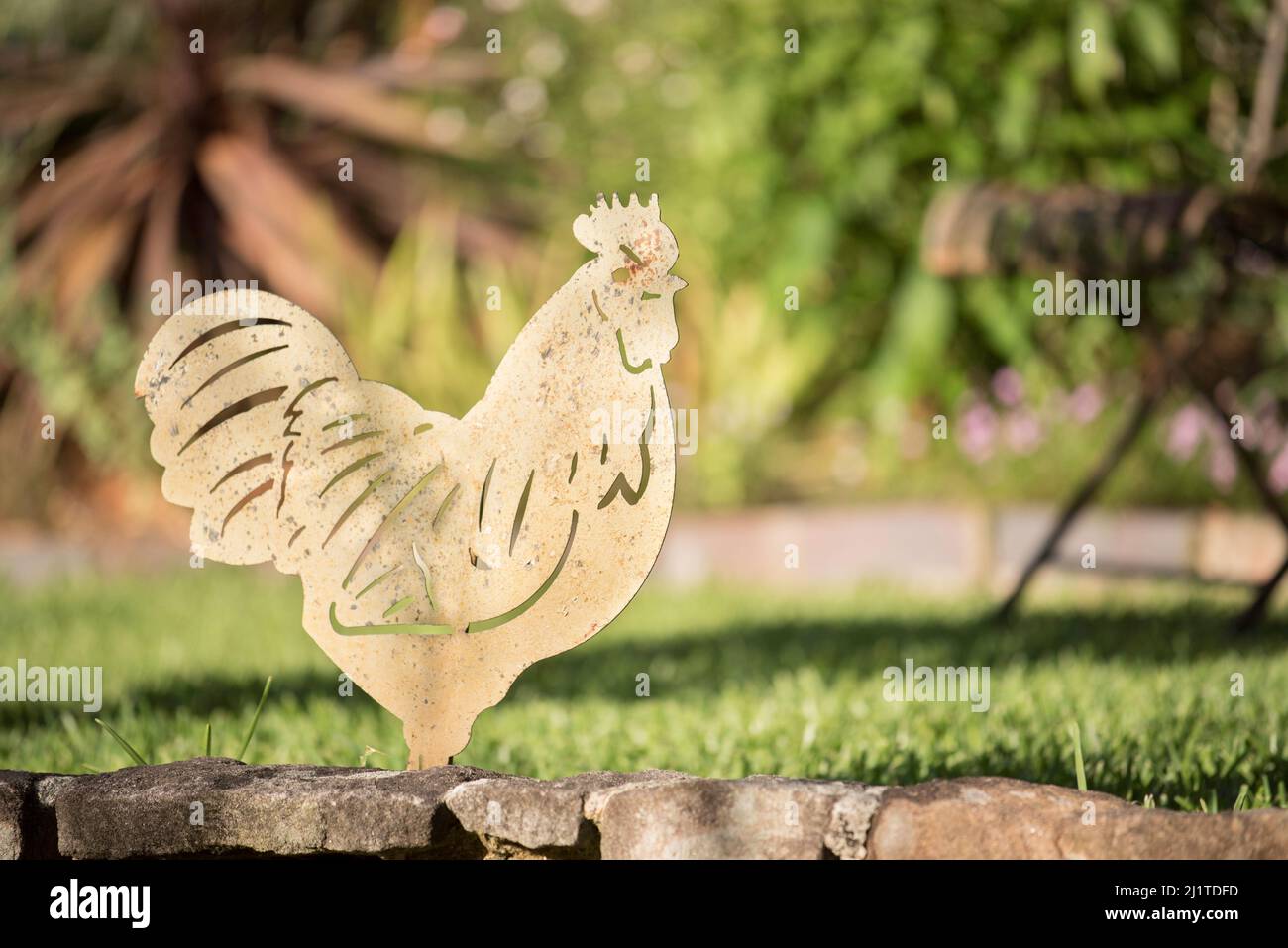 Un profilo in acciaio o ferro di un gallo come ornamento da giardino di fronte ad un prato verde rasato in un cortile a Sydney, Australia Foto Stock
