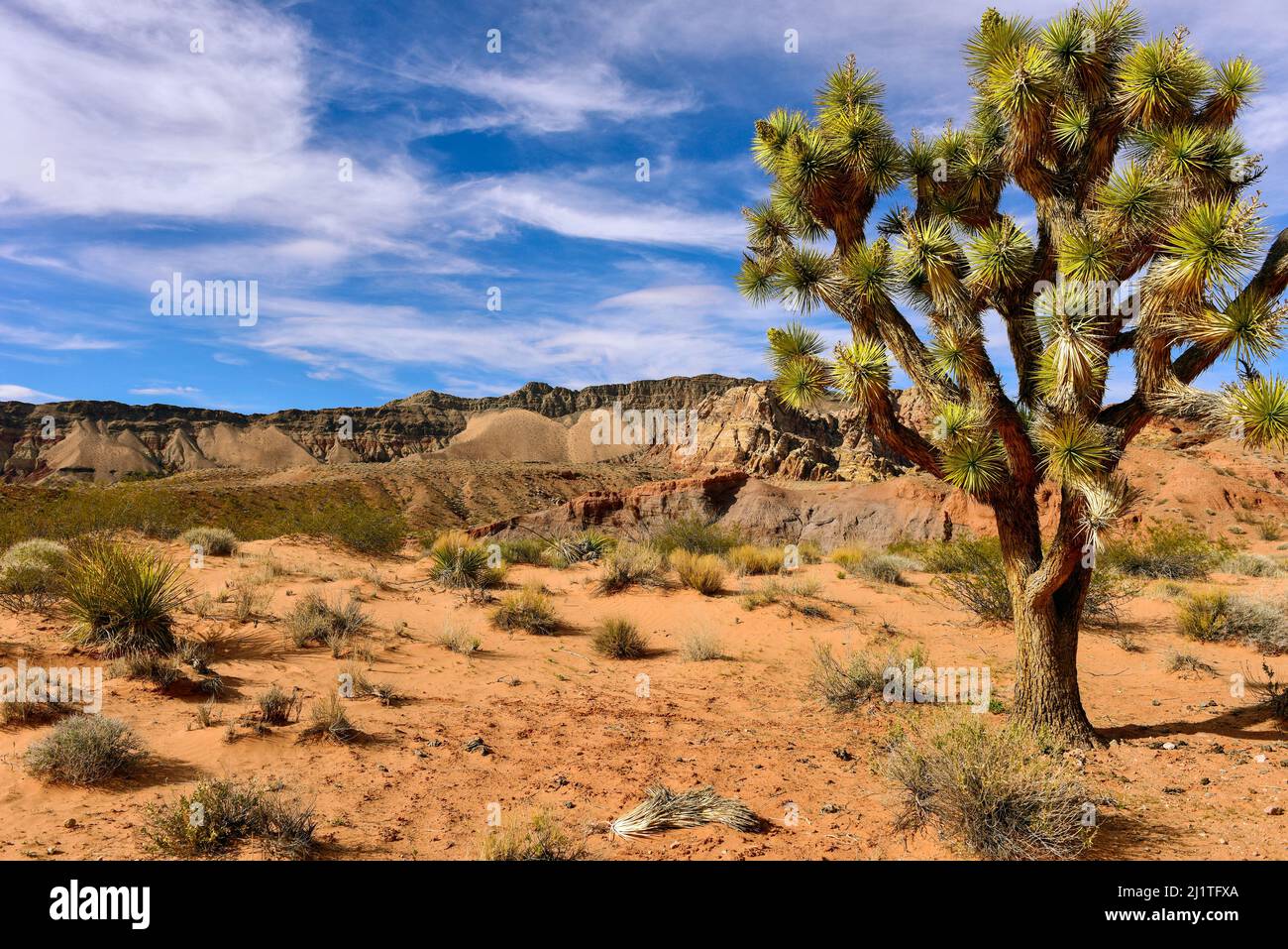 Butte d'oro, piccola Finlandia, paesaggio del Nevada Foto Stock