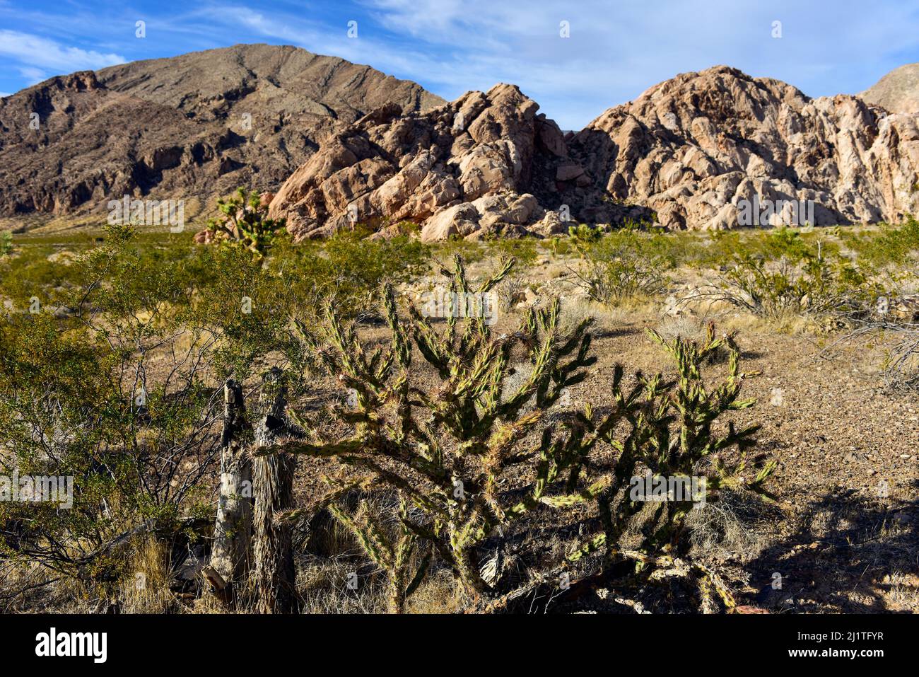 Butte d'oro, piccola Finlandia, paesaggio del Nevada Foto Stock