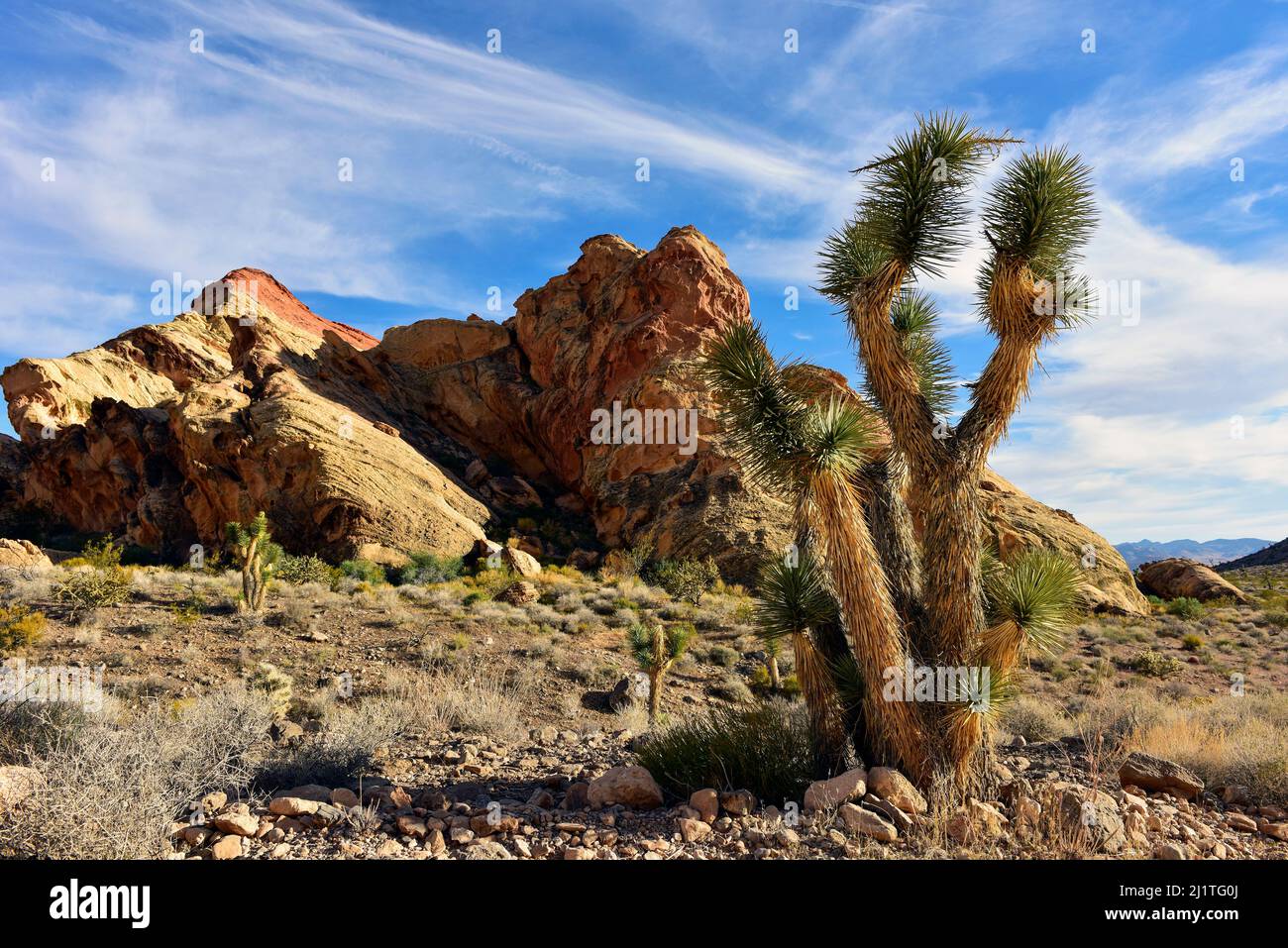 Butte d'oro, piccola Finlandia, paesaggio del Nevada Foto Stock