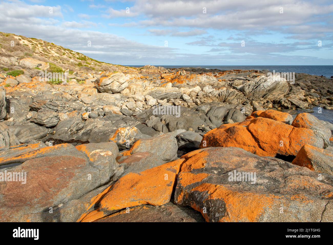 Orange Lichen Covered Rocks a Corny Point, South Australia, Australia Foto Stock