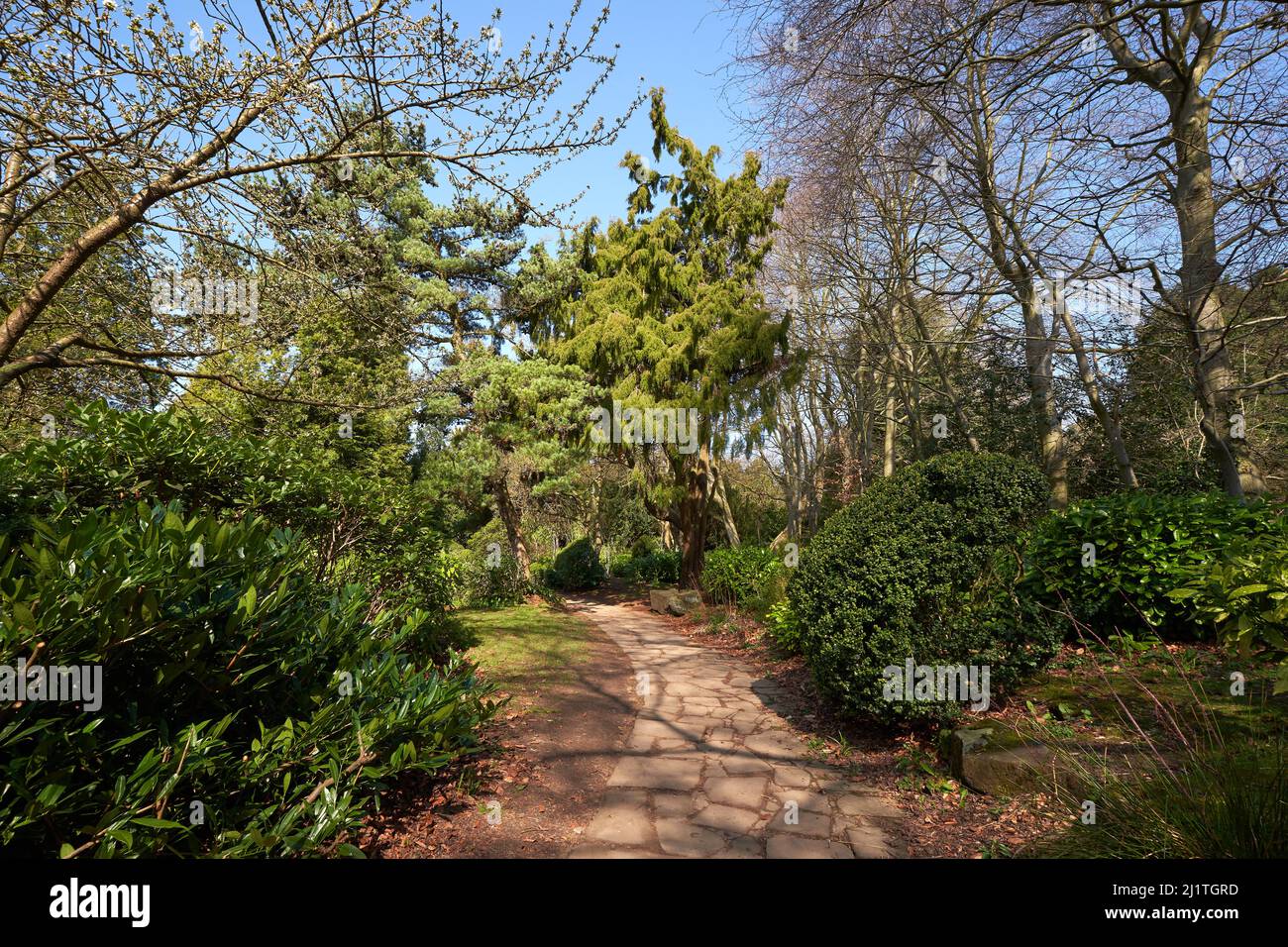 Percorso in un giardino ornamentale a Newstead Abbey, Nottinghamshire, Regno Unito Foto Stock