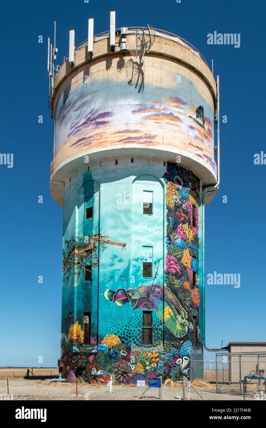 Coral Reef Water Tower Art, Edithburg, Australia Meridionale, Australia Foto Stock