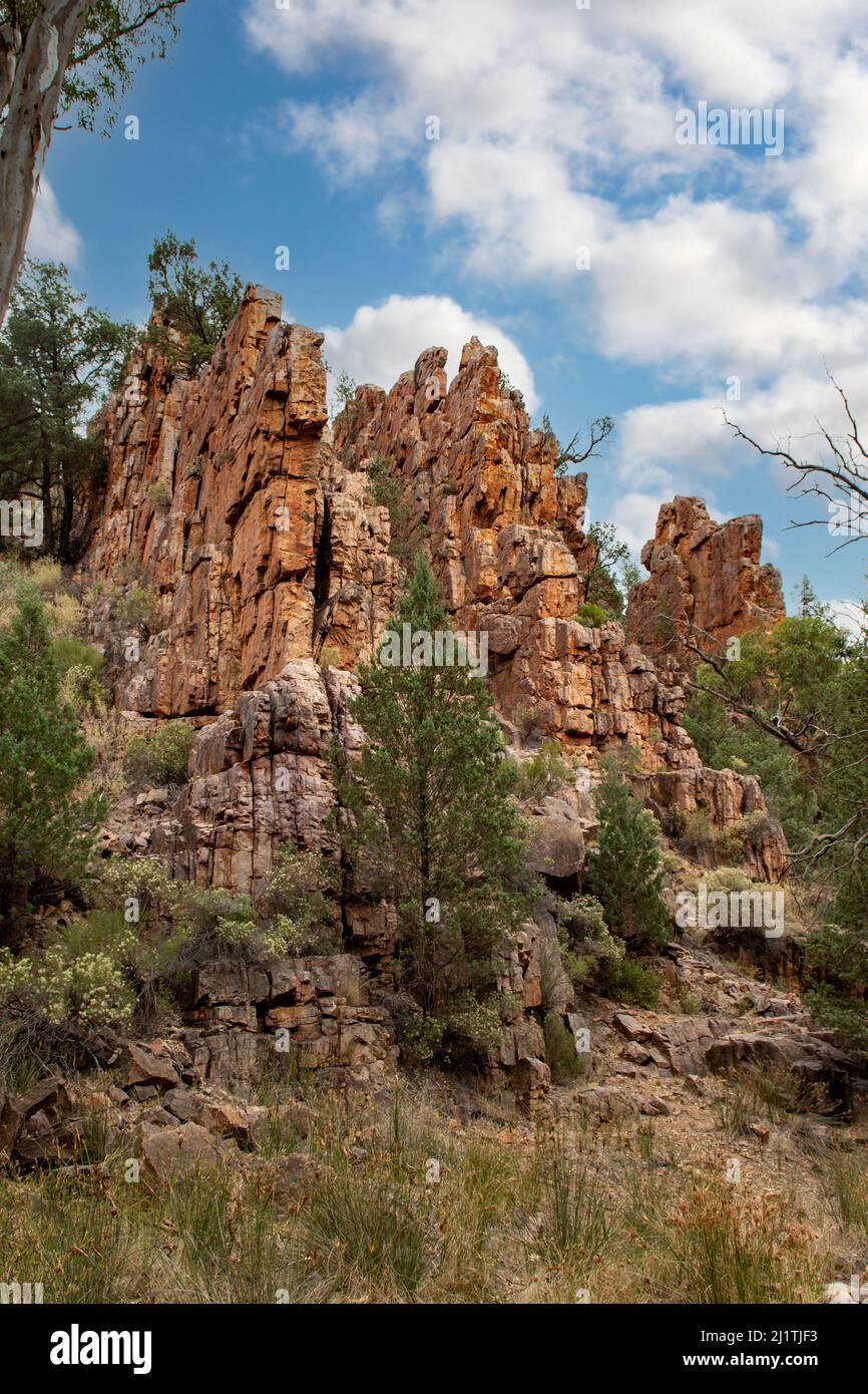 Warren Gorge, vicino a Quorn, Australia del Sud, Australia Foto Stock