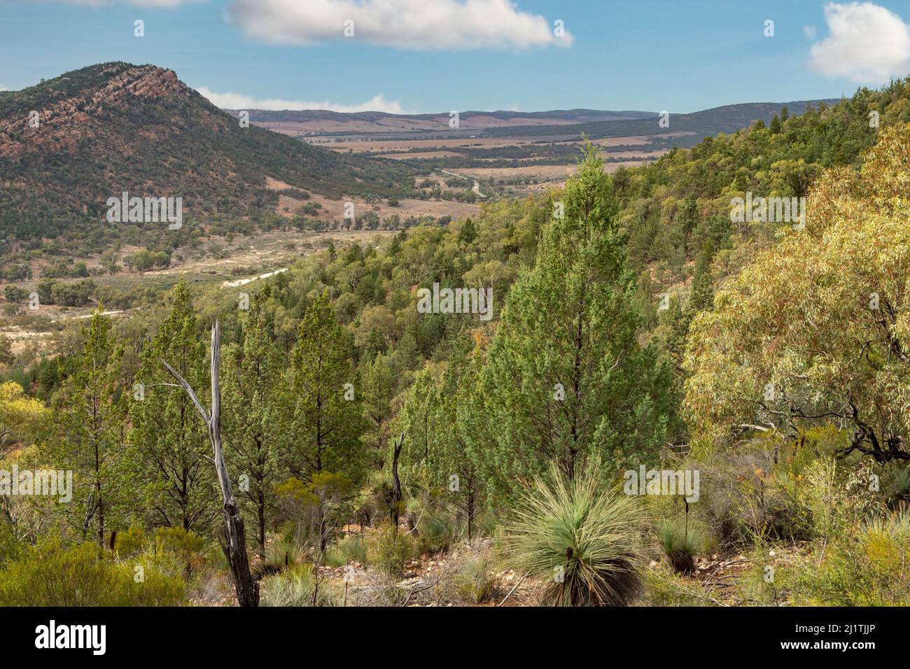 Vista da Trail a Warren Gorge, vicino Quorn, South Australia, Australia Foto Stock