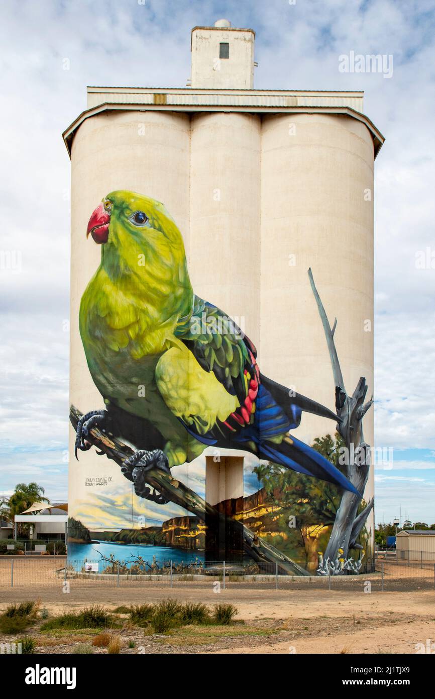 Regent Parrot Silo Art, Waikerie, Australia Meridionale, Australia Foto Stock