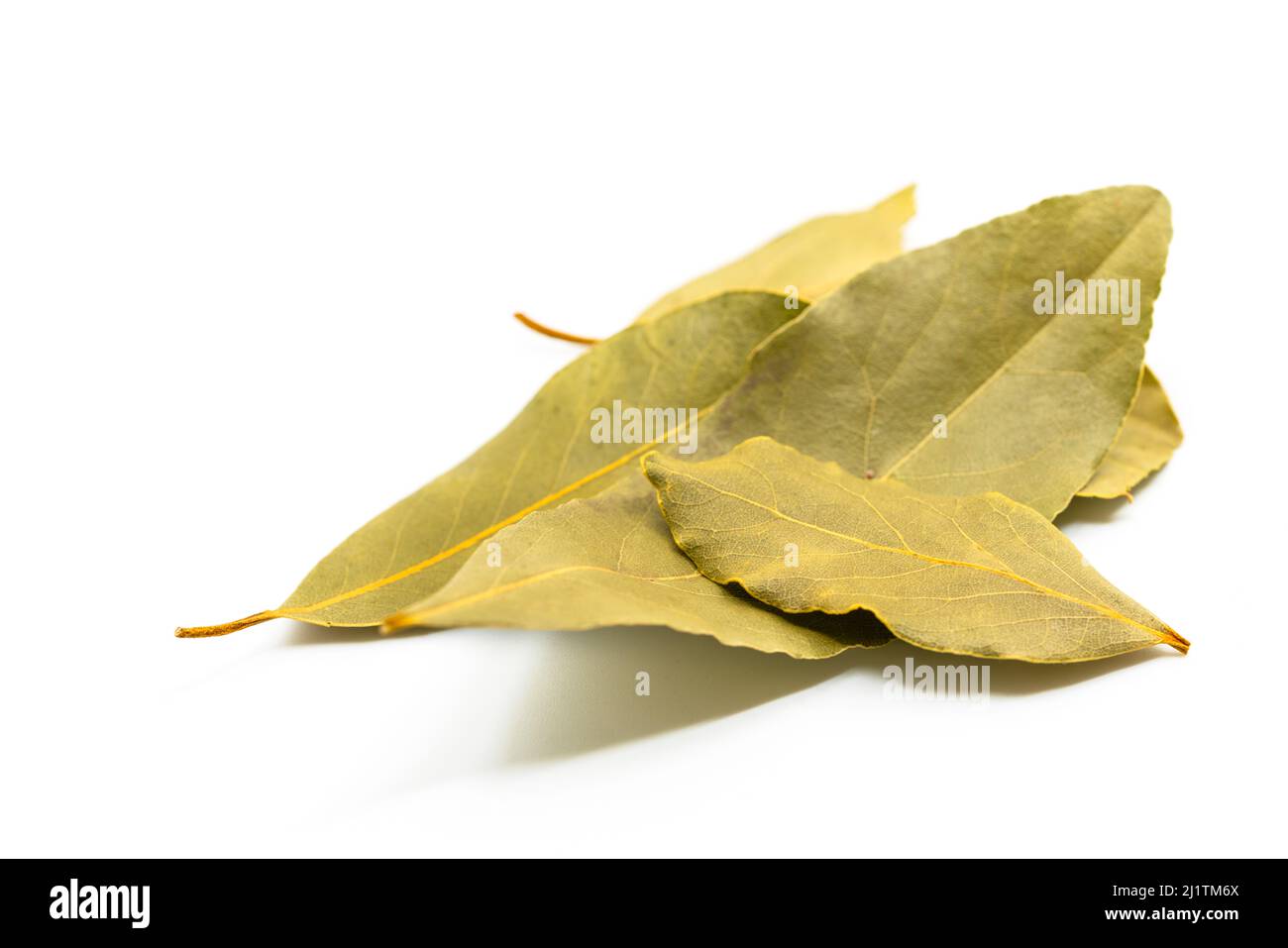 Primo piano un piccolo mucchio di foglie di baia organica su sfondo bianco, primo piano foglie di baia essiccata in linea di dettagli sulla sua pelle, fuoco selezionato. Foto Stock