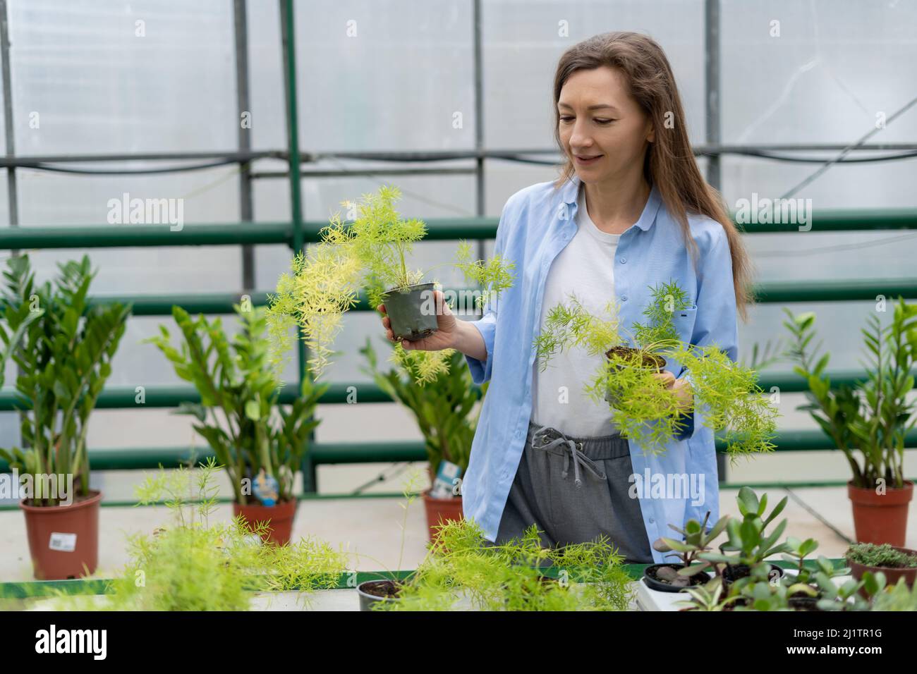 Il concetto di houseplants all'ingrosso. Attraente giovane donna caucasica che tiene asparagi in vaso in un centro giardino. Una donna acquista le piante domestiche per lei Foto Stock