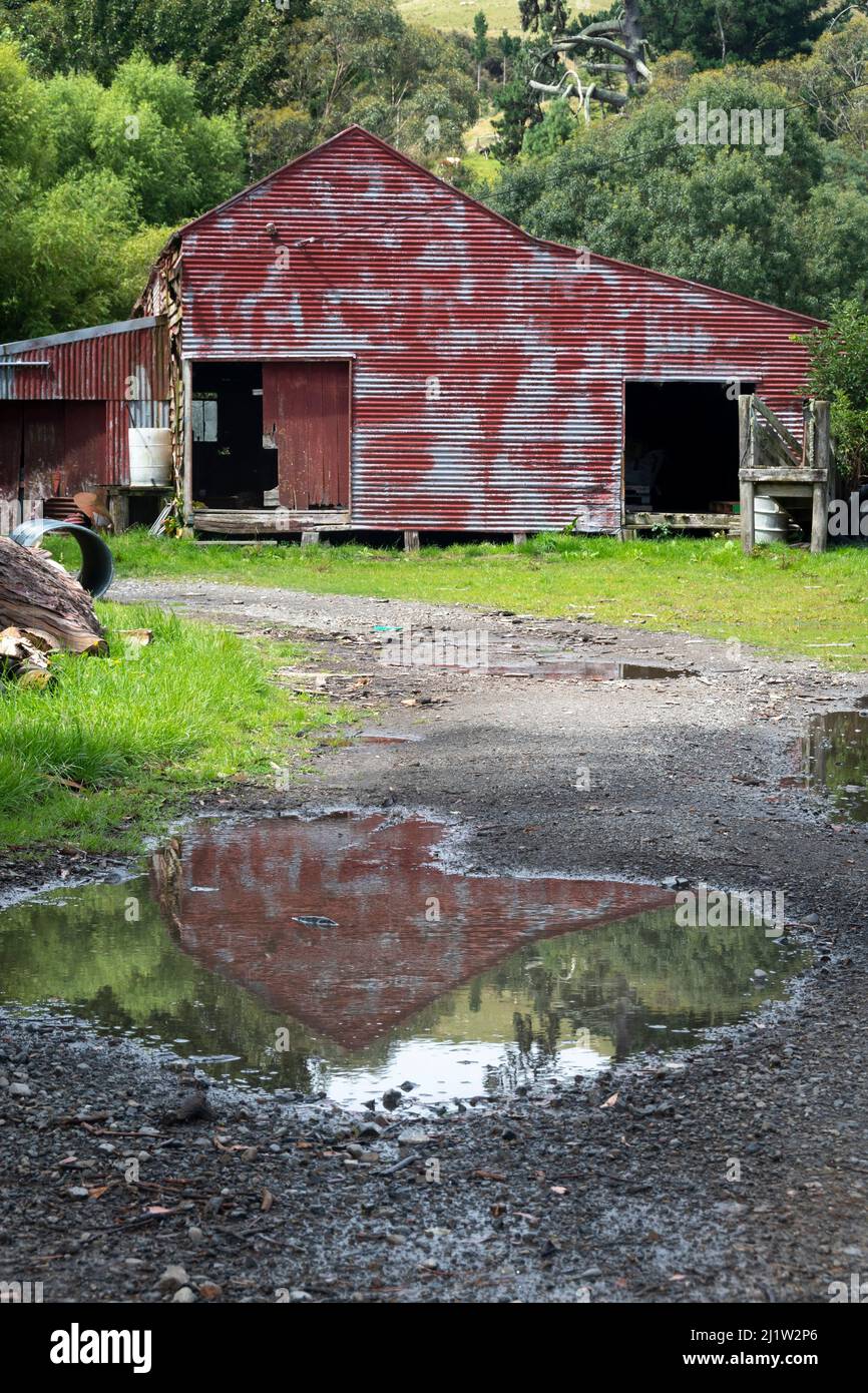 Vecchio fienile vicino Paihiatua, distretto di Tararua, Isola del Nord, Nuova Zelanda Foto Stock