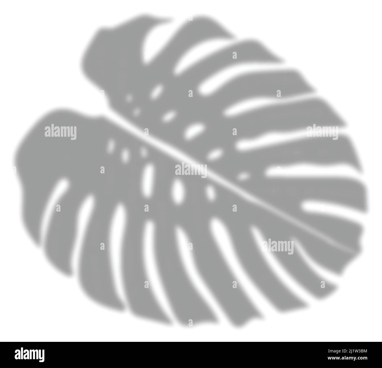 Sovrapposizione delle ombre delle foglie di Monstera su sfondo trasparente. Effetto di sovrapposizione ombra naturale. Illustrazione vettoriale. Illustrazione Vettoriale