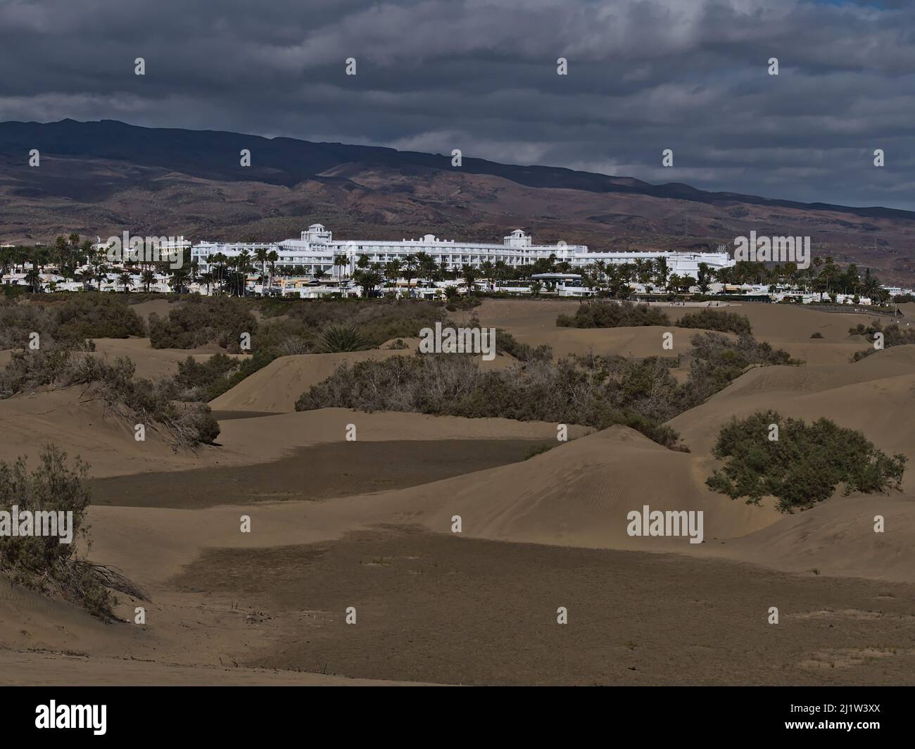 Vista sulla famosa riserva naturale Dunas de Maspalomas nel sud dell'isola di Gran Canaria, Spagna con palme tra dune di sabbia e grande hotel. Foto Stock