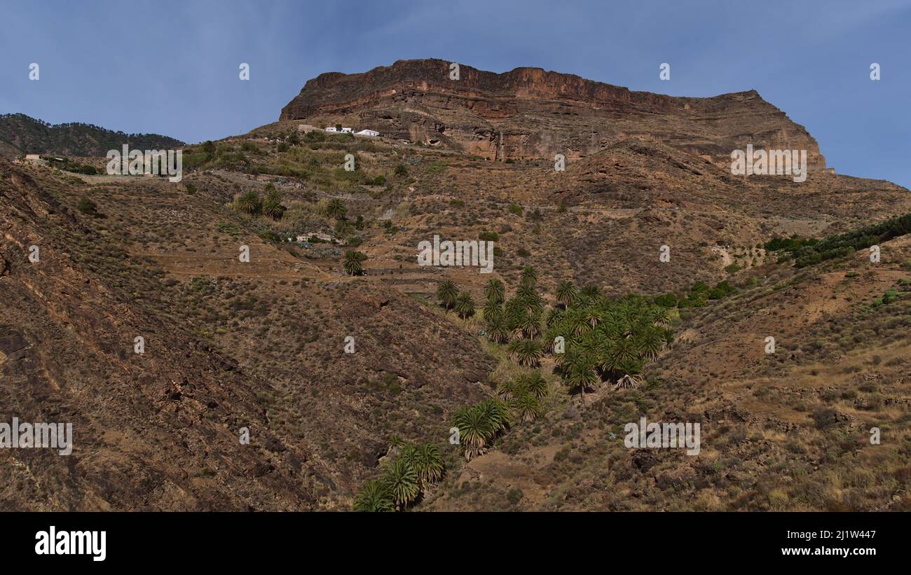 Bellissimo paesaggio dell'ovest dell'isola di Gran Canaria, Spagna con la strada di campagna GC-210 sotto aspre montagne e una piccola foresta di palme. Foto Stock