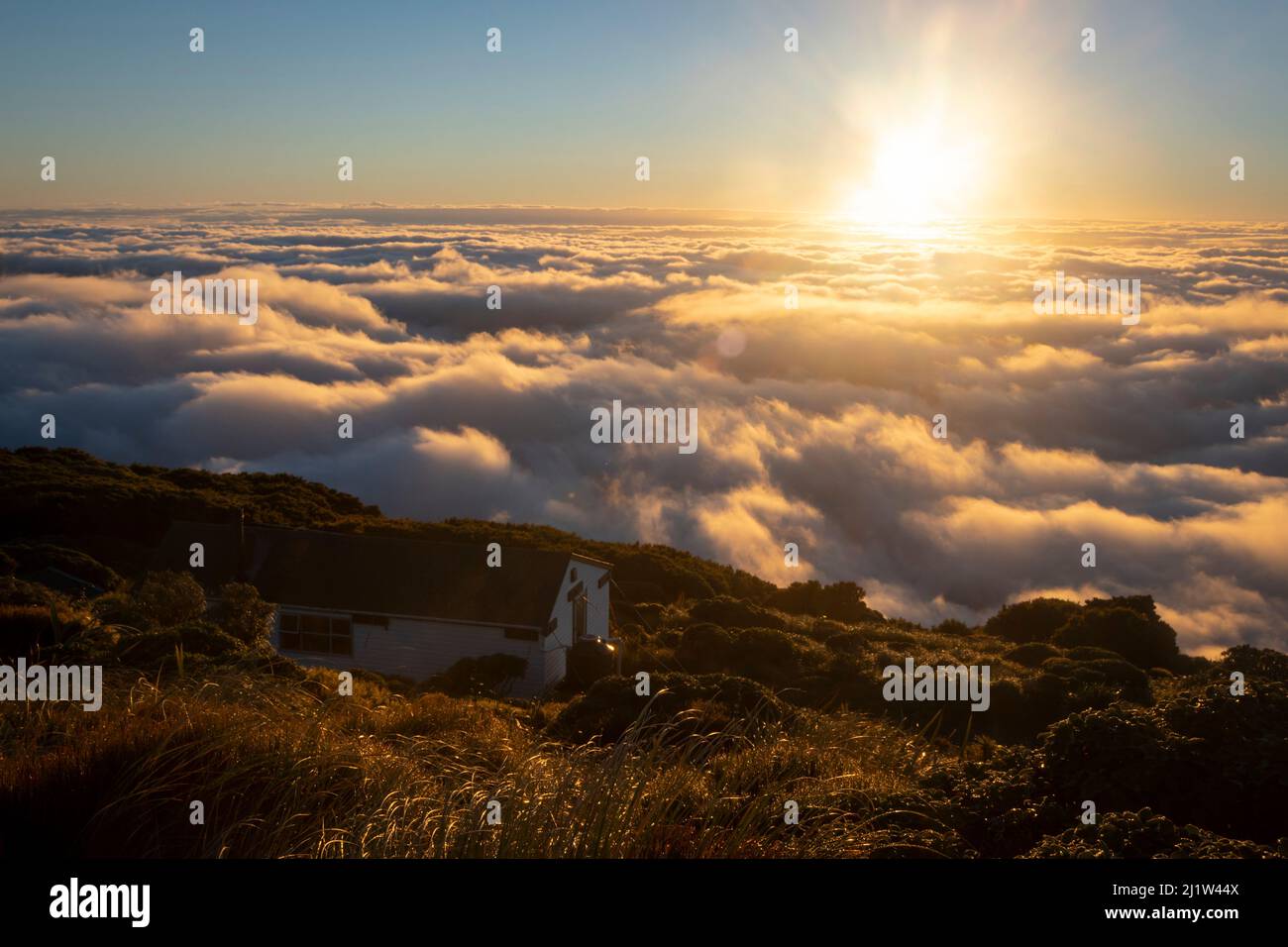 Alba sopra la nuvola bassa sotto le montagne, sopra le pianure di Wairarapa, circuito di Holdsworth-Jumbo, Tararua Ranges, Isola del Nord, Nuova Zelanda Foto Stock