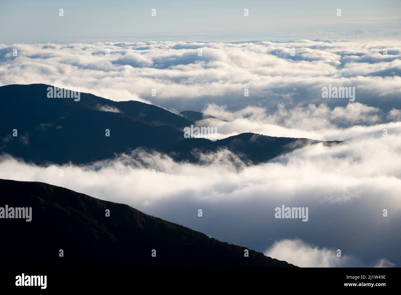 Nuvola bassa sotto le montagne, sopra le pianure di Wairarapa, circuito di Holdsworth-Jumbo, Tararua Ranges, Isola del Nord, Nuova Zelanda Foto Stock