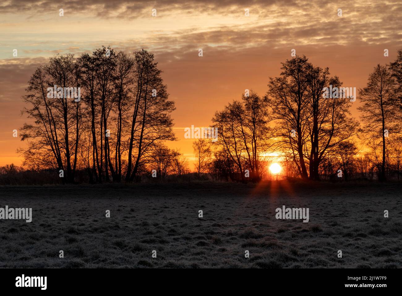 Alba su un campo in Baviera in inverno Foto Stock