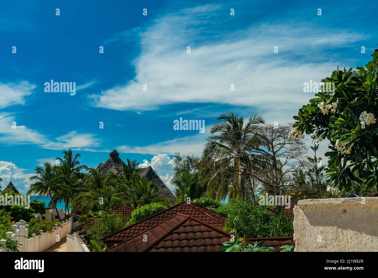Tetti e palme nel villaggio africano di Kendwa, isola di Zanzibar, Tanzania Foto Stock