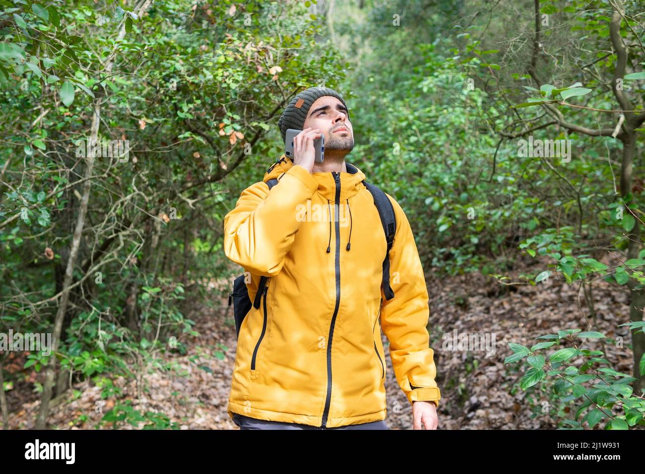 Serio escursionista borbedato maschio in giacca e cappellino di lana telefono parlando mentre in piedi in legno con alti alberi verdi durante il trekking Foto Stock