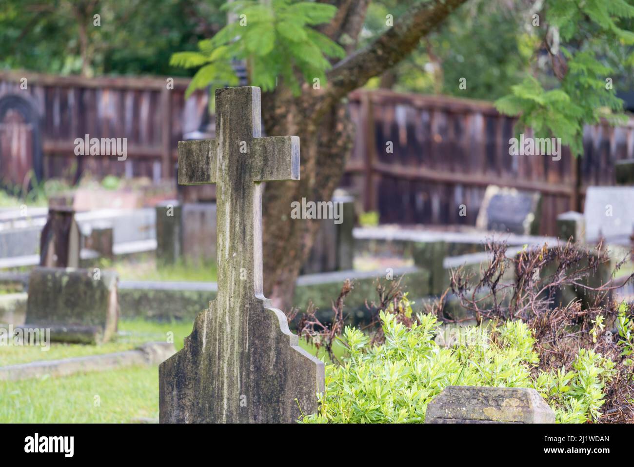 Un'immagine da dietro di una pietra o di una croce di cemento vicino ad altre tombe, in un cimitero o cimitero a Sydney, nuovo Galles del Sud, Australia Foto Stock