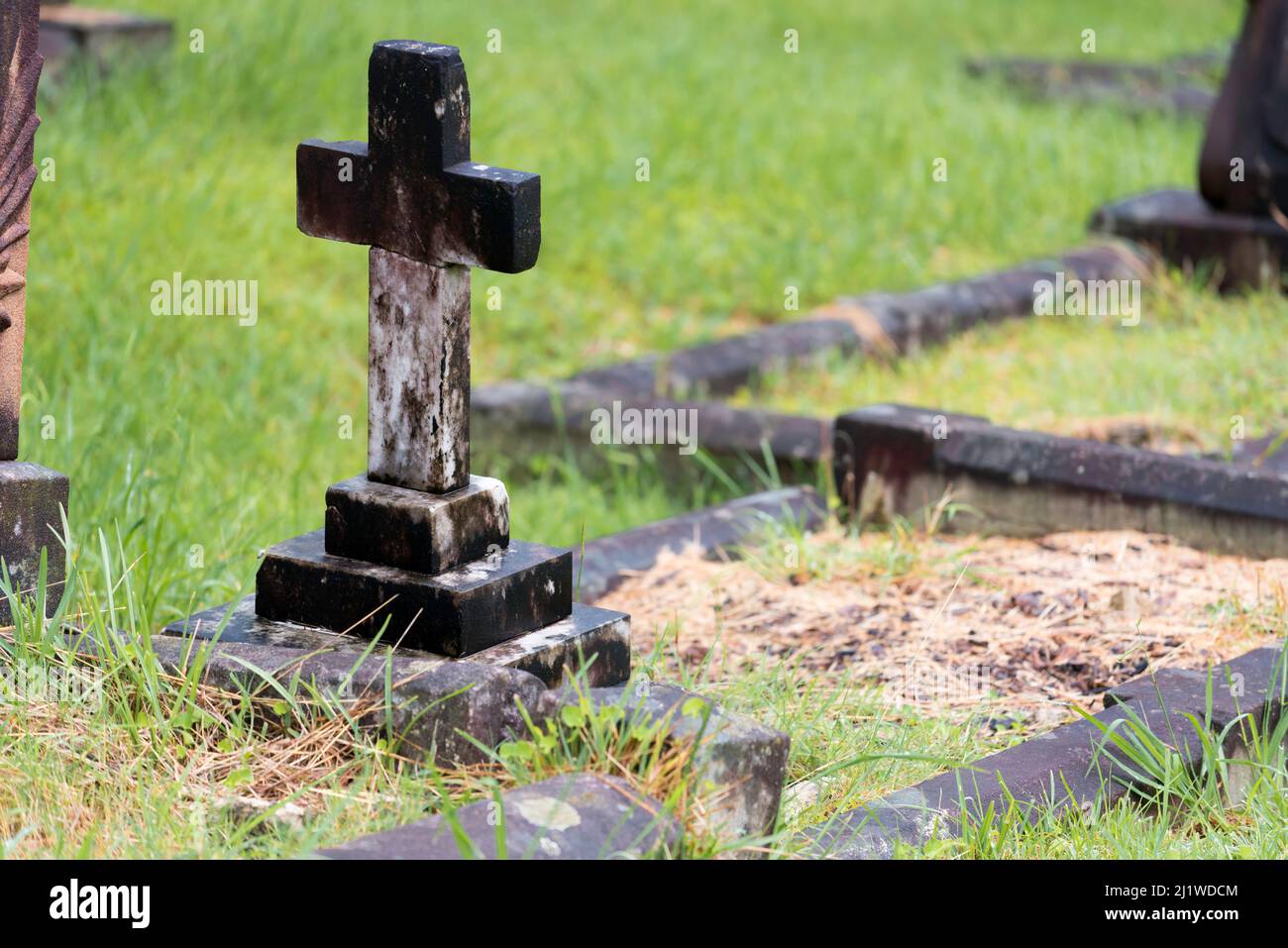 Un'immagine da dietro di una croce di pietra o cemento in erba verde lunga, in un cimitero o cimitero a Sydney, nuovo Galles del Sud, Australia Foto Stock