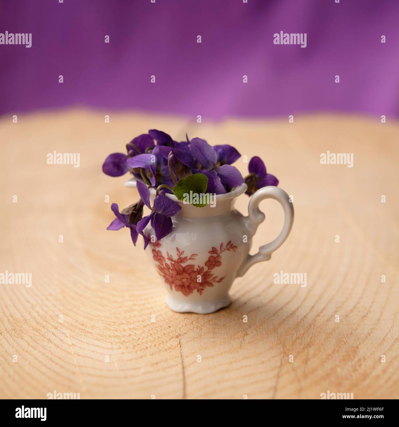 Mini bouquet di viola odorata (viola dolce) in un mini vaso isolato su sfondo di legno Foto Stock