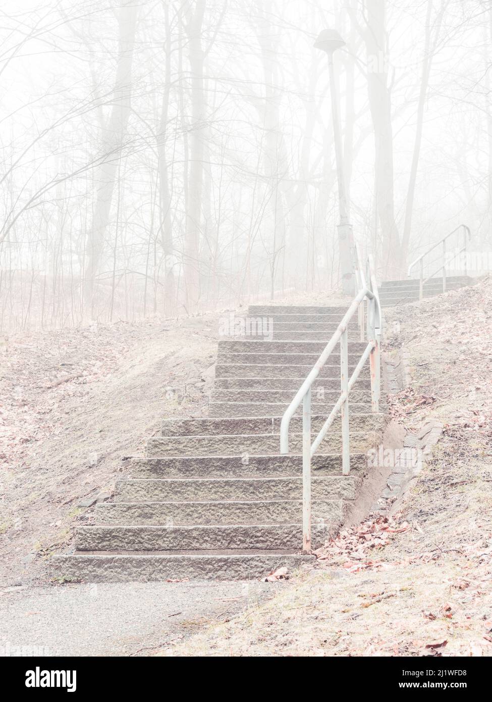 Scala in foresta di nebbia, Svezia Foto Stock