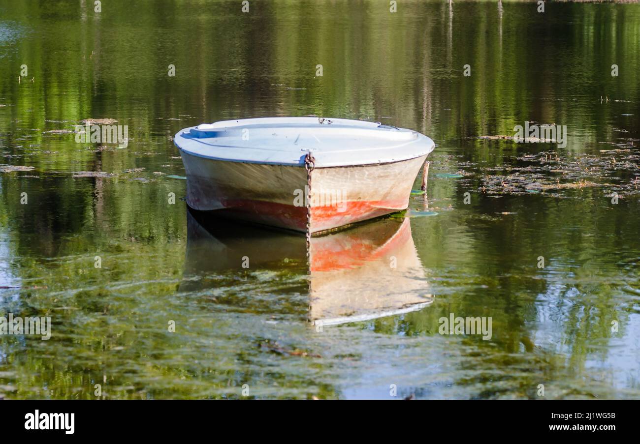 Ormeggiata barca di plastica sull'acqua nella palude. Foto Stock