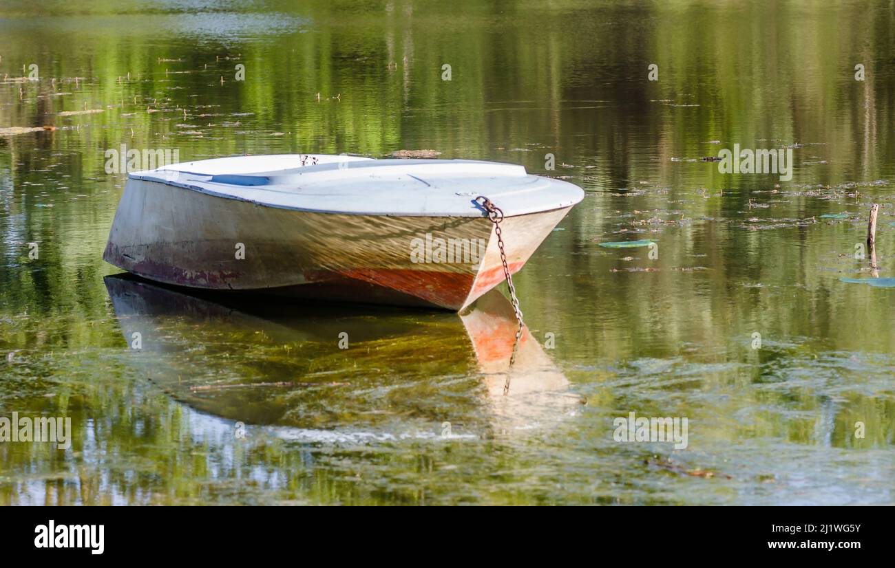 Ormeggiata barca di plastica sull'acqua nella palude. Foto Stock