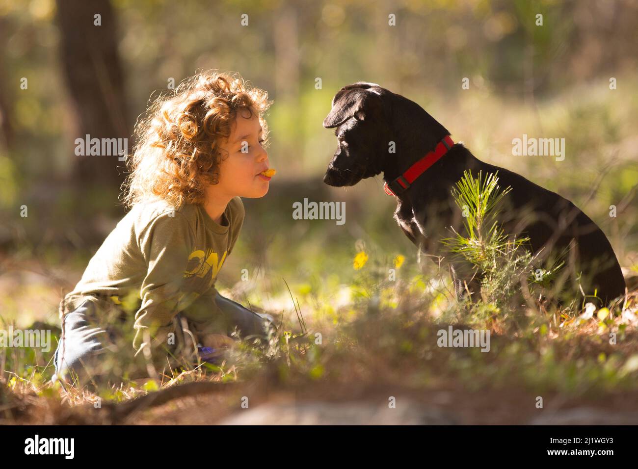 Il bambino giovane interagisce con il suo cane all'aperto in un campo di fioritura primaverile Foto Stock