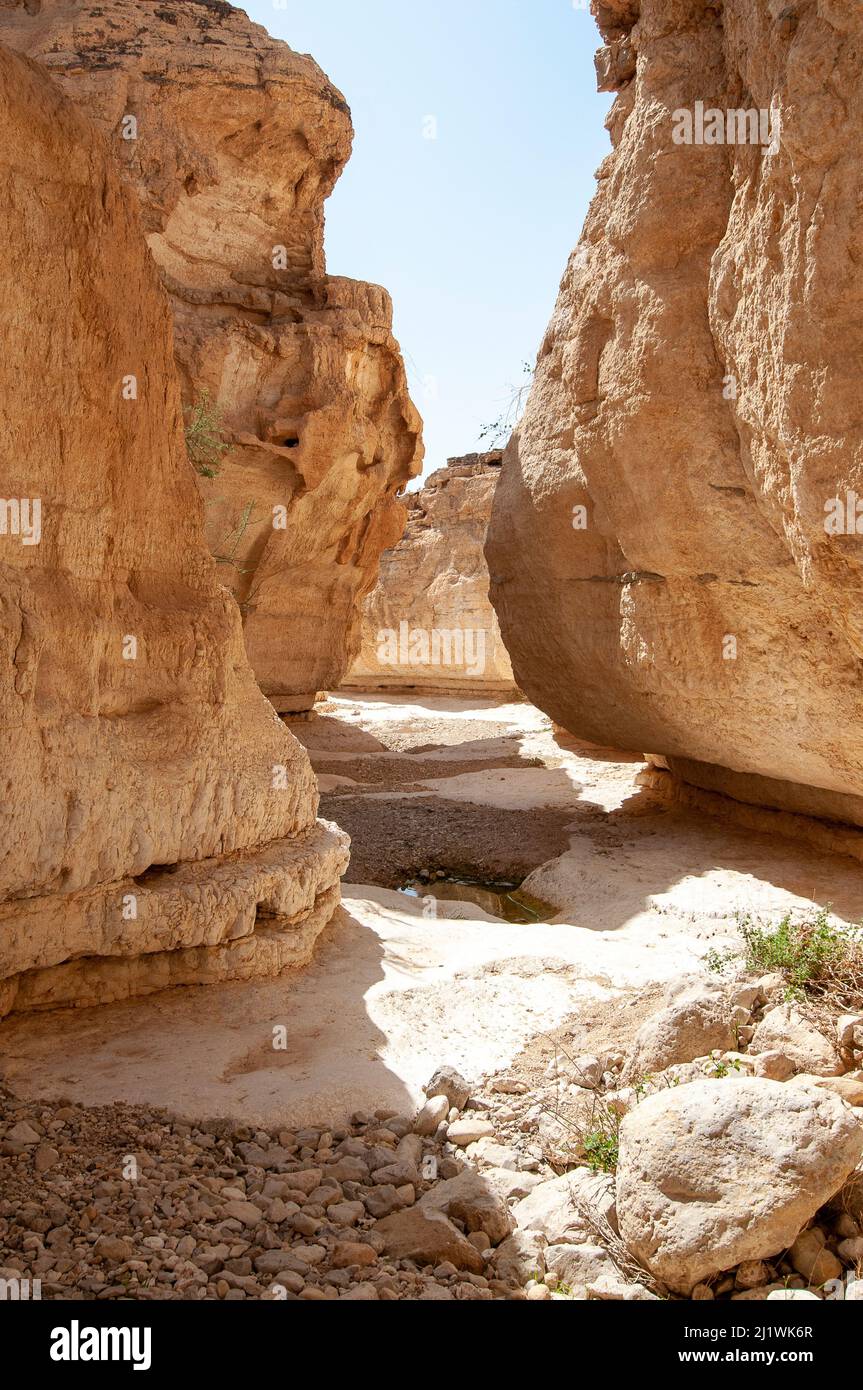 Parete rocciosa naturalmente erosa fotografata a Wadi Peres Un letto di fiume stagionale nel deserto del Negev di Pasqua del Nord sul confine meridionale del Deser giudaico Foto Stock
