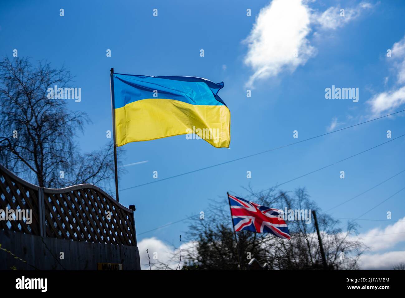 Le bandiere ucraine e Union Jack volano fianco a fianco nella solidarietà e nel sostegno alla crisi in corso in Ucraina Foto Stock