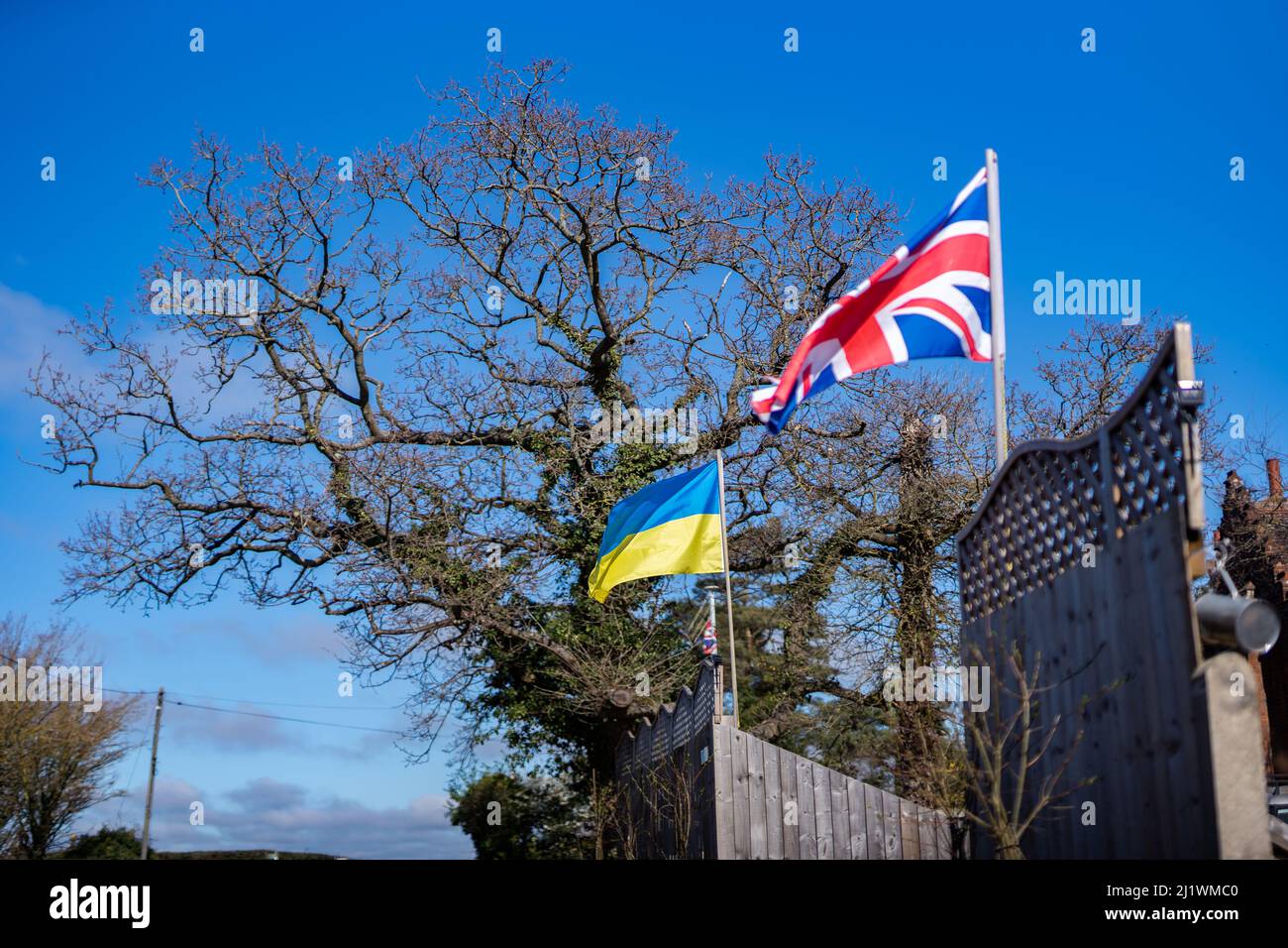 Le bandiere ucraine e Union Jack volano fianco a fianco nella solidarietà e nel sostegno alla crisi in corso in Ucraina Foto Stock