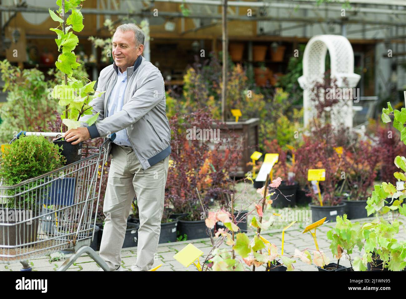 Shopping uomo di mezza età nel centro giardino Foto Stock