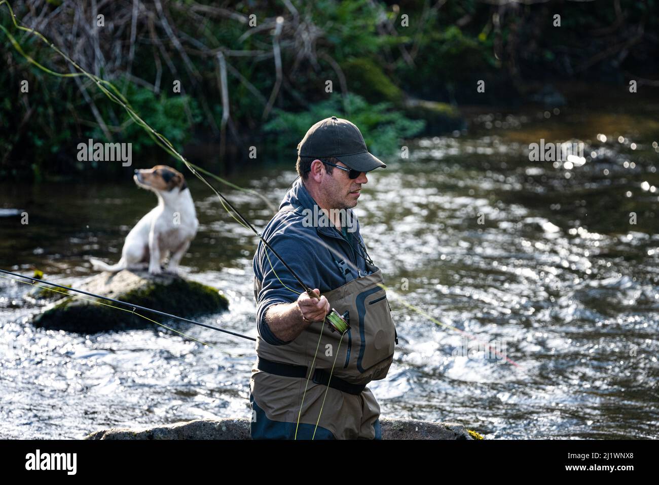 Pesca andata. Un pescatore di mosca con il suo cane pesca a mosca sul fiume Teign a Fingle Bridge, Dartmoor, Devon, Regno Unito Foto Stock