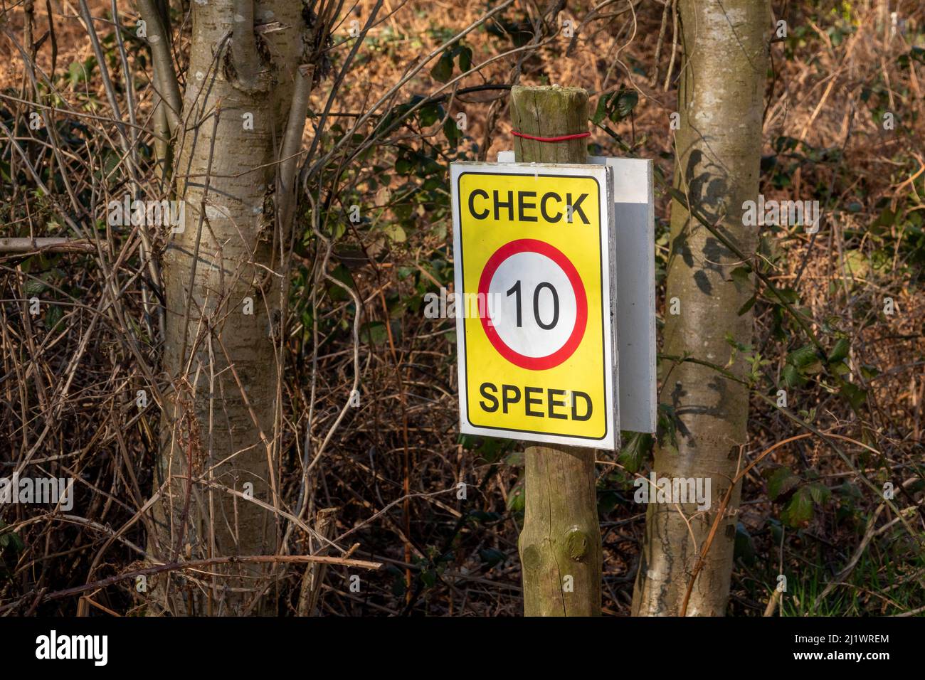 Un segnale di controllo della velocità fissato a un albero su una corsia di campagna che indica 10 mph Foto Stock