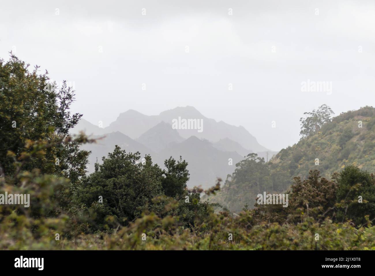 Anaga montagne, ripidi pendii coperti di verde e lussureggiante foresta: Un Parco rurale classificato come riserva della biosfera a Tenerife, isole Canarie, Spagna Foto Stock