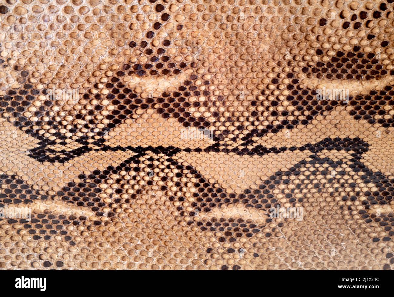 Sfondo vintage in pelle di serpente. Dettaglio di scale in tonalità di beige, marrone chiaro e nero. Foto Stock