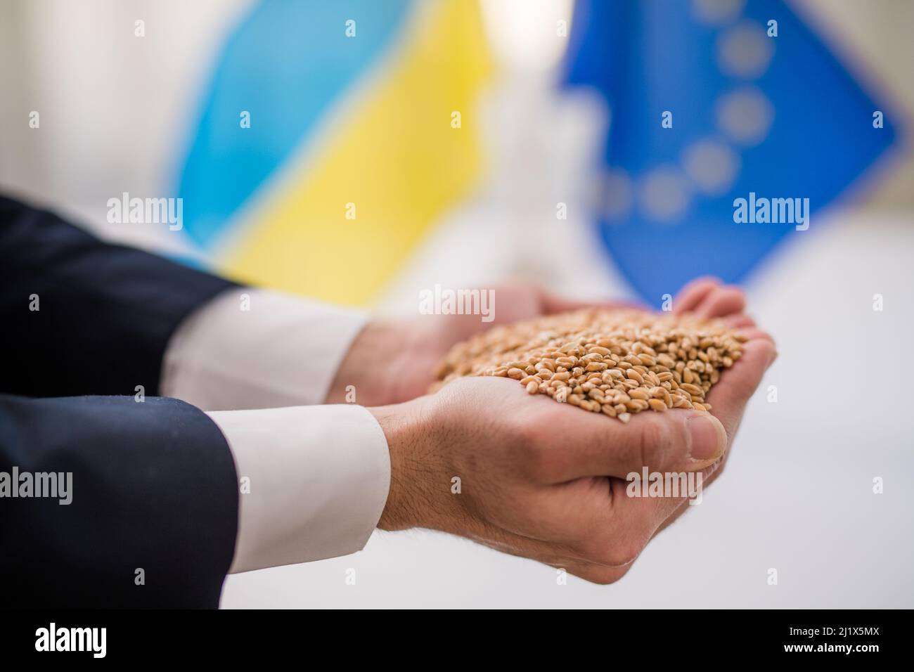 L'Ucraina esporta grano in Europa, l'inclusione dell'Ucraina nel concetto di Unione europea. Foto Stock