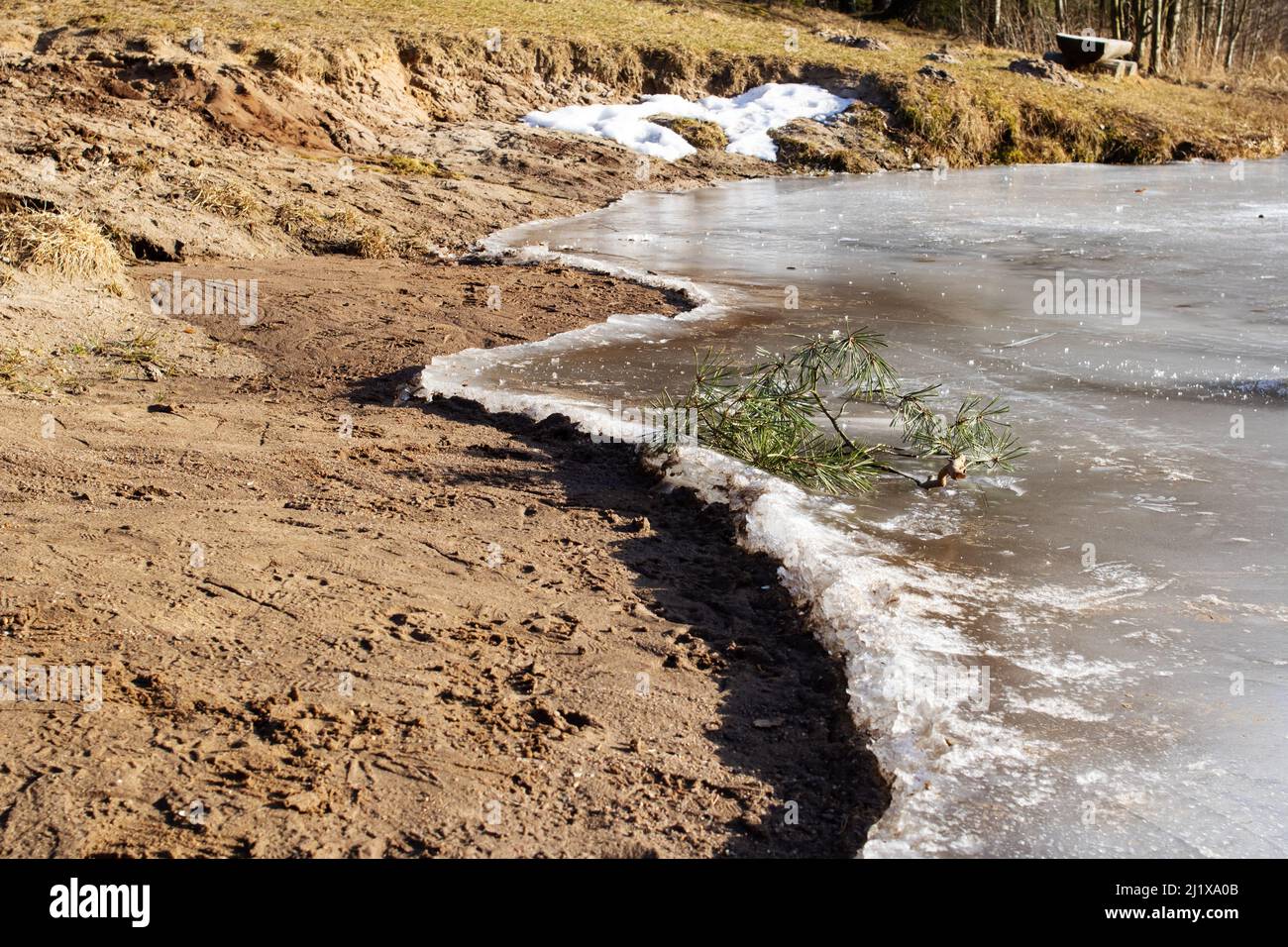 Bordo di ghiaccio sulla sabbia sulla spiaggia da vicino Foto Stock