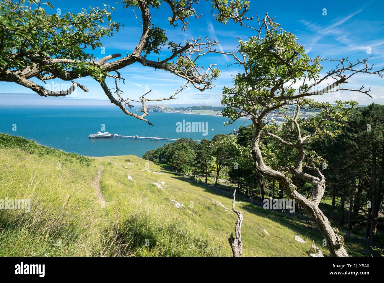 Il molo di Llandudno visto dal Great Ormes si dirige vicino alla Happy Valley sulla costa del Galles del Nord Foto Stock