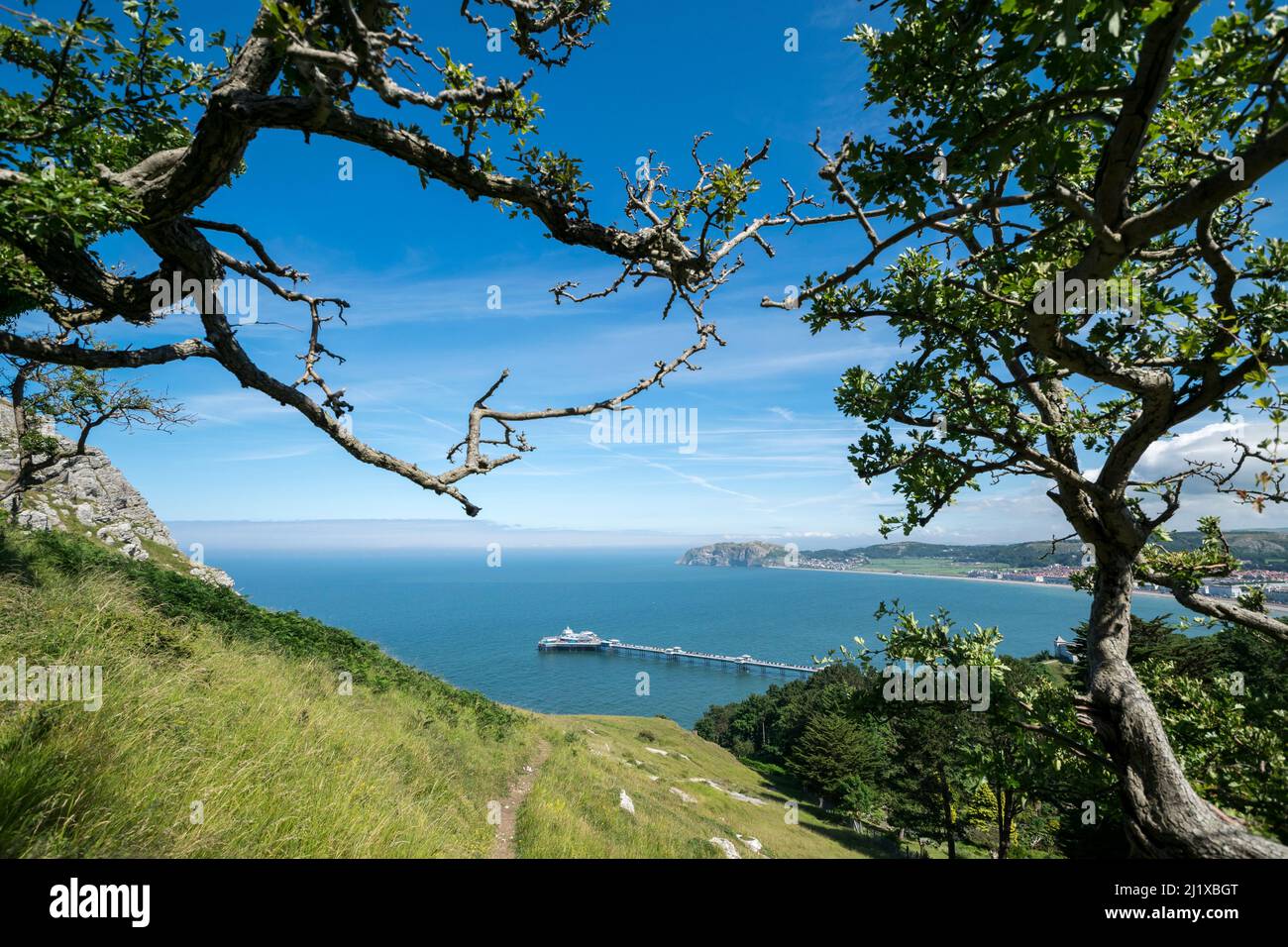 Il molo di Llandudno visto dal Great Ormes si dirige vicino alla Happy Valley sulla costa del Galles del Nord Foto Stock