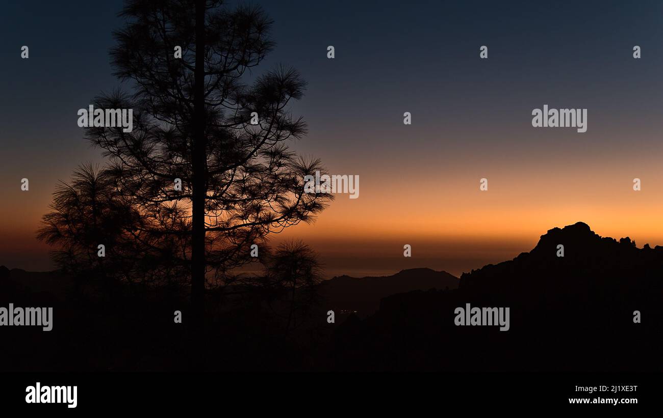 Vista mozzafiato sulle montagne dell'isola di Gran Canaria, Isole Canarie, Spagna dopo il tramonto con il cielo colorato e drammatico e le sagome dell'albero. Foto Stock