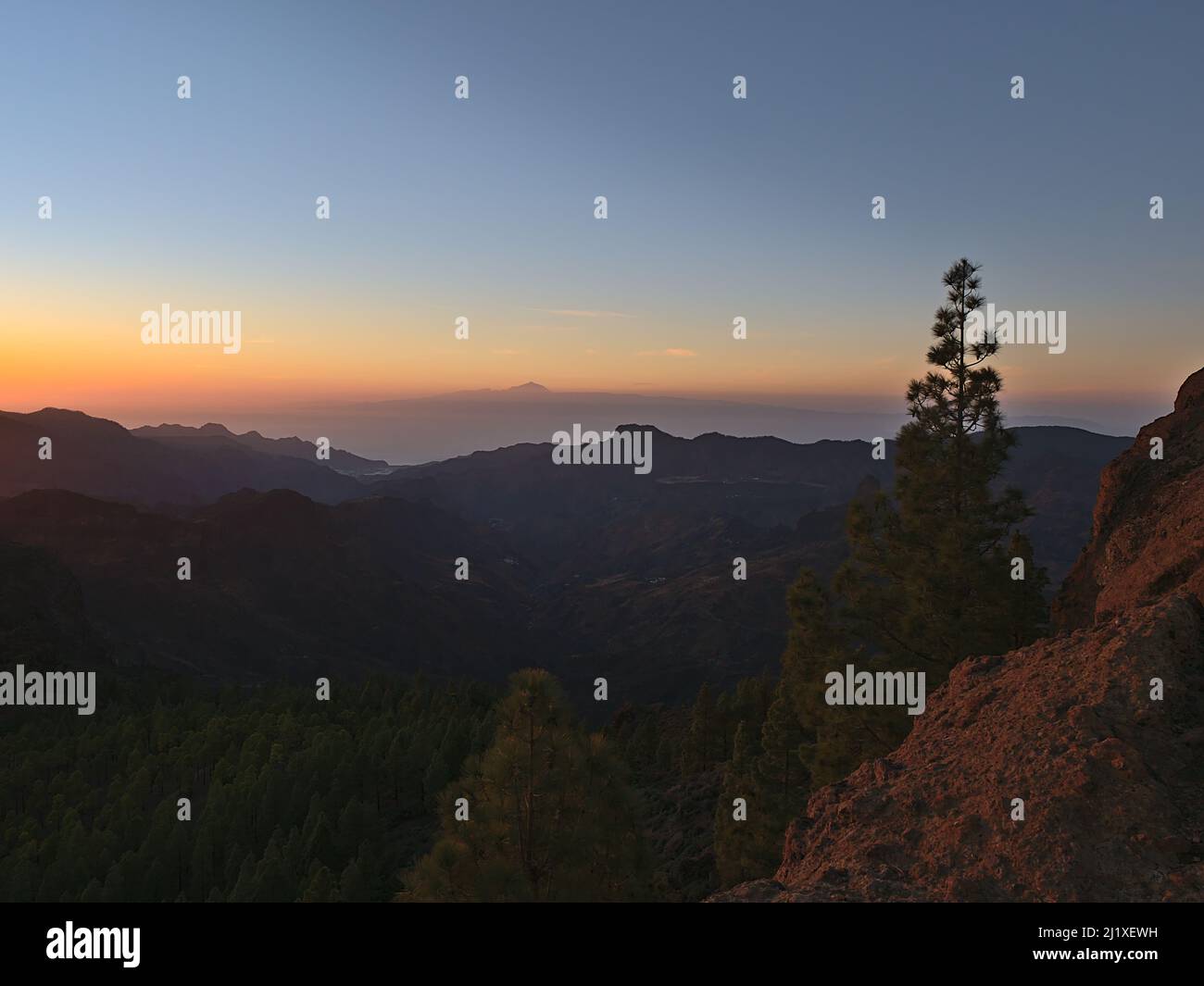 Splendida vista sulle montagne di Gran Canaria, Isole Canarie, Spagna al tramonto con cielo colorato, la silhouette di un albero e l'isola di Tenerife. Foto Stock