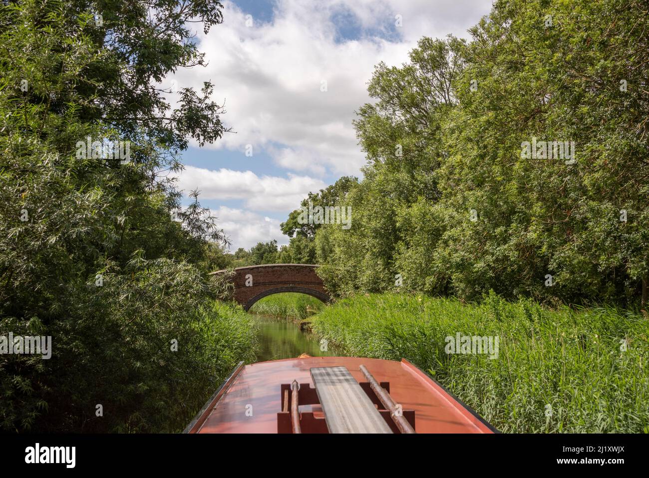 Oxford Canal vicino a Lower Heyford, Oxfordshire, Regno Unito Foto Stock