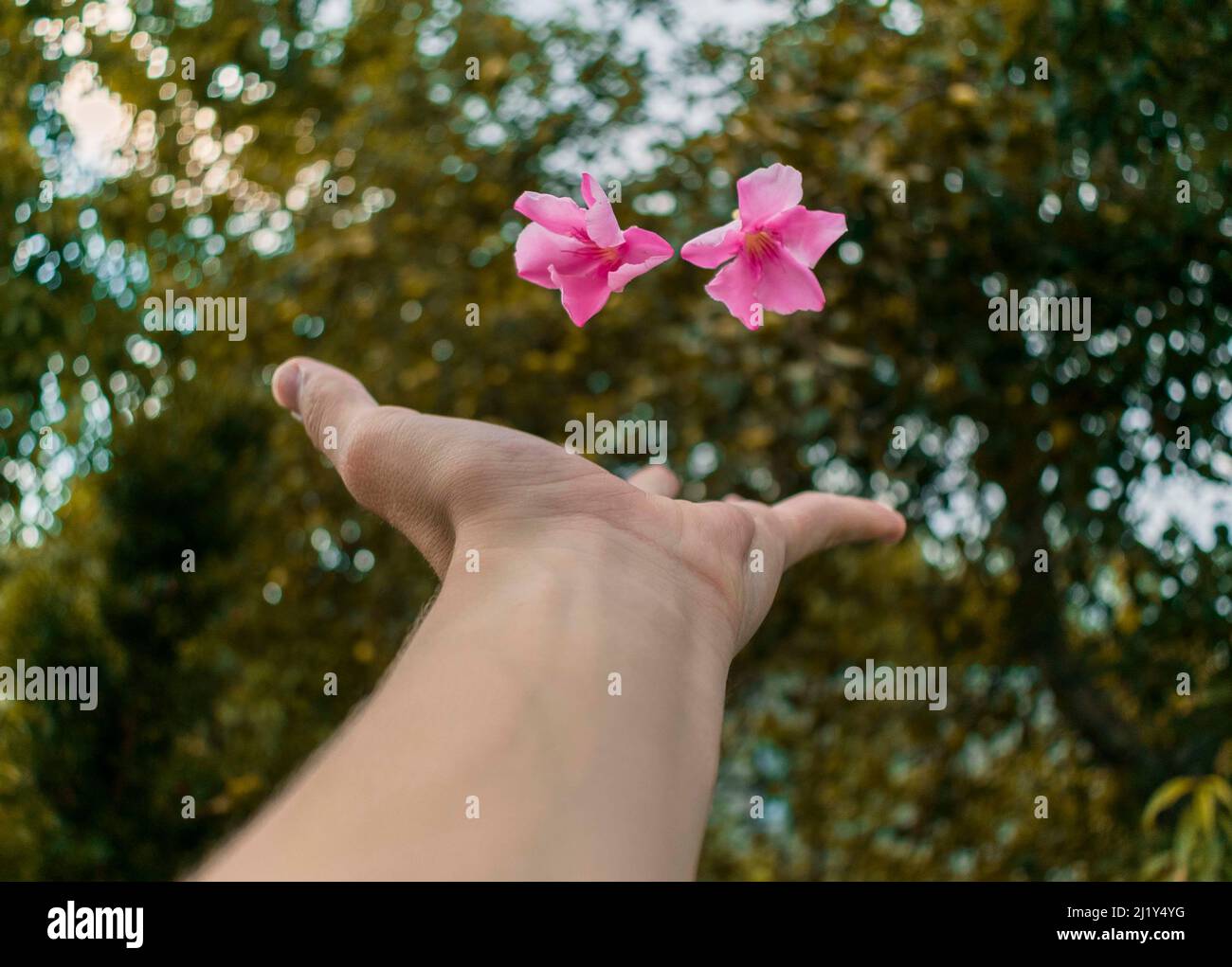 Tutto si sta svegliando e la primavera sta iniziando. Tocco invisibile della natura primaverile. Foto Stock