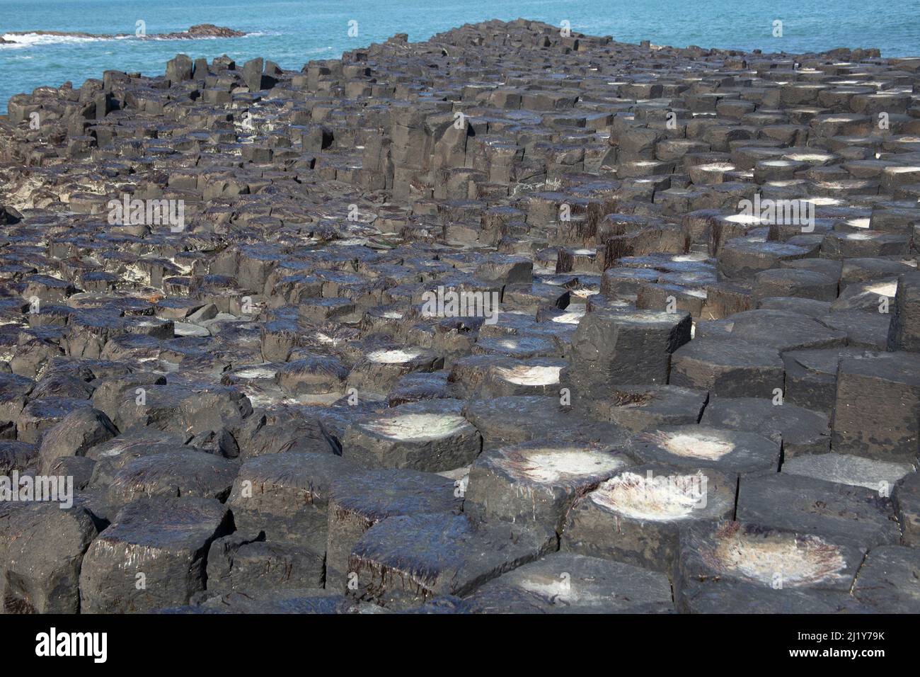 Selciato del gigante un'area di circa colonne di basalto interbloccanti, contea di Antrim sulla costa nord dell'Irlanda del Nord Foto Stock
