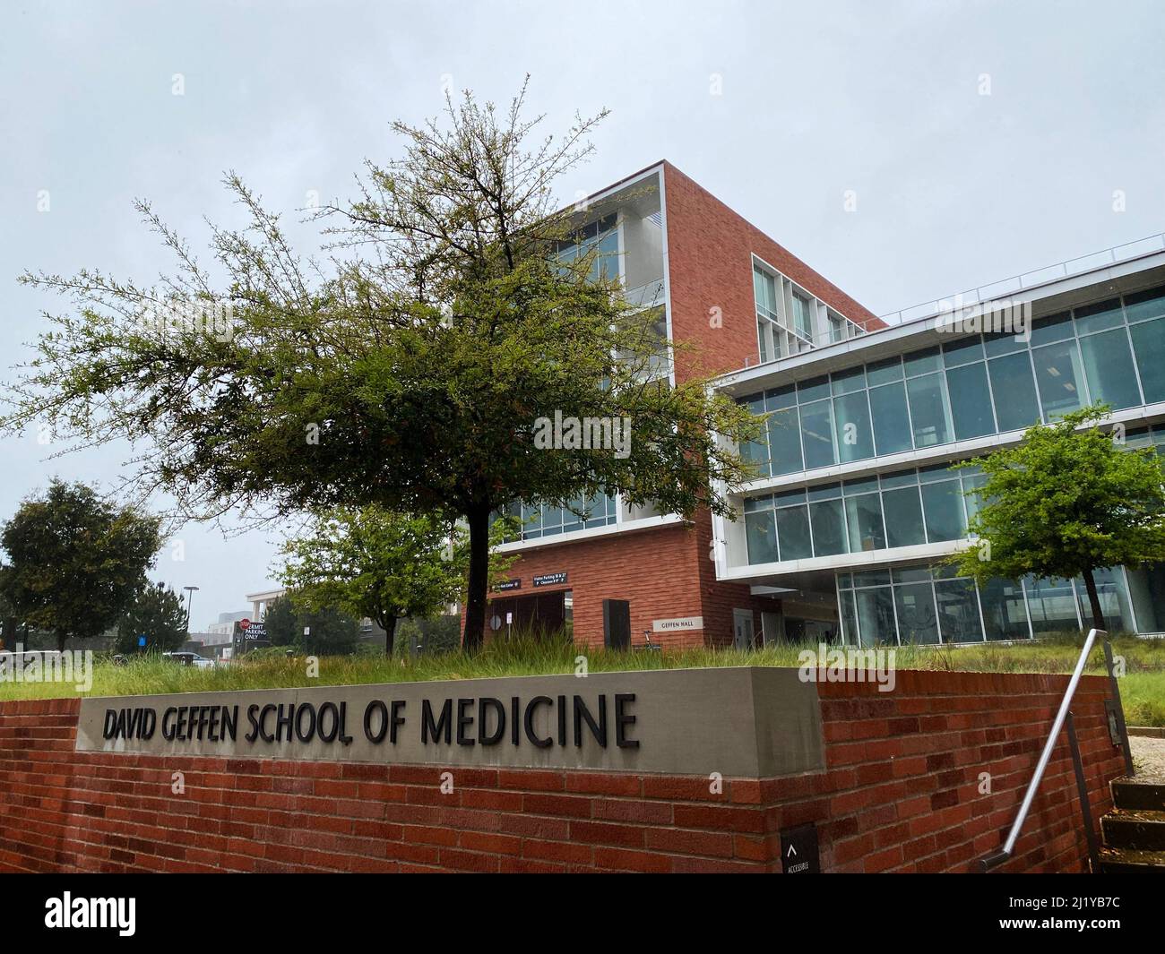 La David Geffen School of Medicine (DGSOM) all'Università della California, Los Angeles (UCLA) Foto Stock