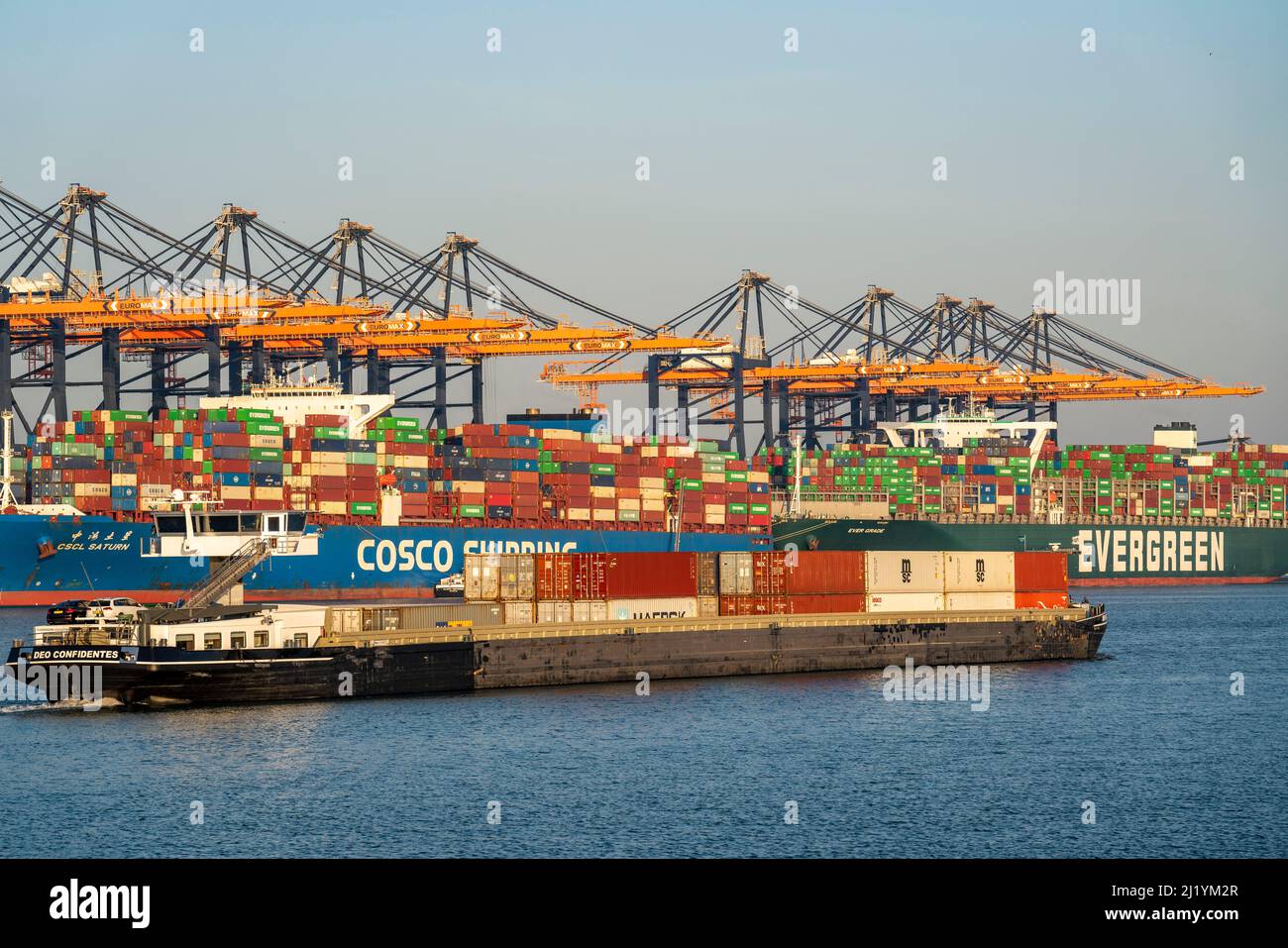 Euromax Container Terminal, container freighter, nel porto marittimo di Rotterdam, Paesi Bassi, Yangtzehaven, chiatta, porto di mare profondo Maasvlakte 2, su un arti Foto Stock