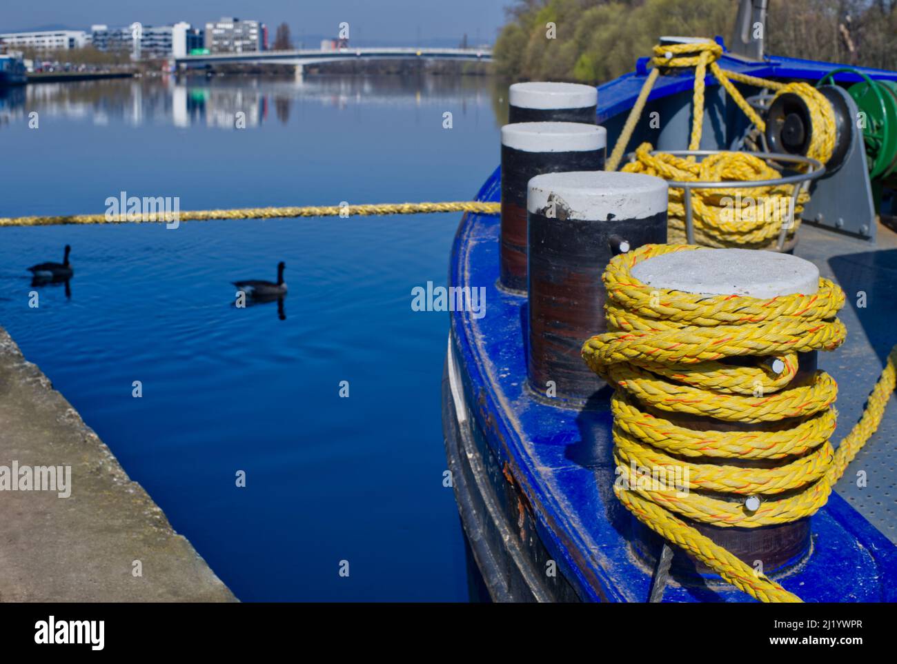 Chiatta del fiume in blu brillante con quattro palari e corda gialla sul lungofiume del fiume meno a Offenbach e Francoforte, ponte Carl-Ulrich Foto Stock